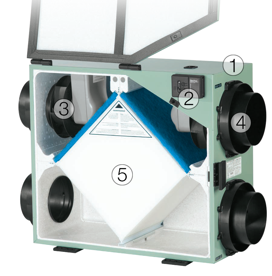 GreentekHRVAnatomy Greentek